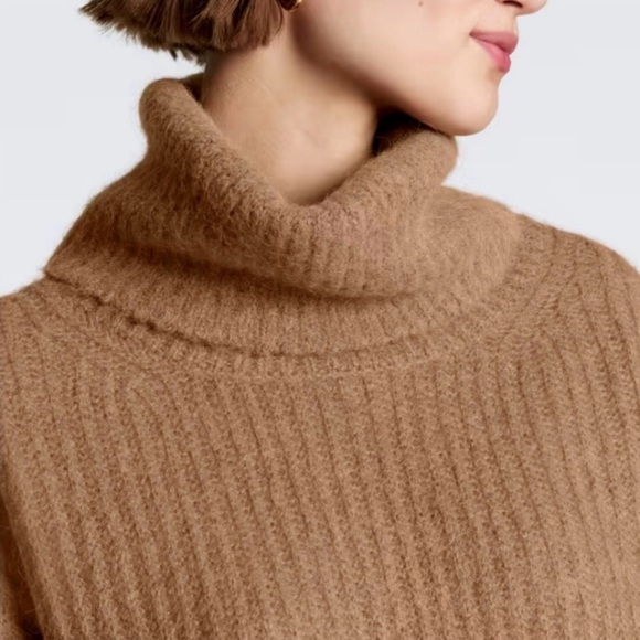 Everlane Alpaca Chunky Knit Turtleneck Sweater Brown Turtleneck Sweater - Picture 8 of 9